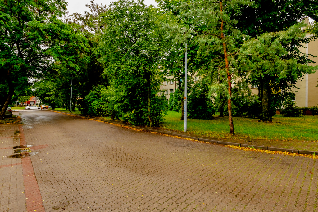 Ciche I Przytulne Mieszkanie W Otoczeniu Zieleni