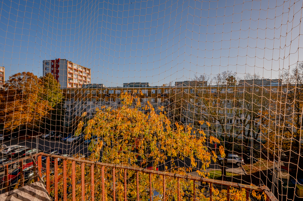 Kawalerka Przy Politechnice | Zwierzyniecka